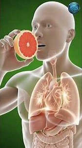 Raspberry Body Ke Andar Kya Karta Hai? | Science 3D Animation | Real Effects Explained