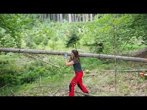 Building An Off-Grid Hut in the Forest (Part 1)