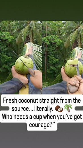 “Some people drink coconuts on the beach.� I prefer doing it 30 meters up. 😌🌴” #HighAltitudeLife #IslandVibes #ExtremeLifestyle #TravelGoals #WildAdventures #InsaneReels #CreatorsSpotlight #WildViews #ParadiseFound #GlobeTravellers | Agus Marwan