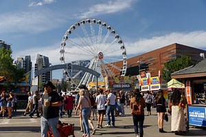 Calgary Stampede wrap-up: Attendance, horse death, and more