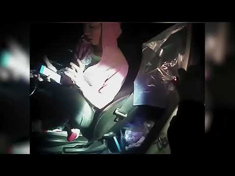 Clip from police bodycam footage of Nasim Aghdam hours before YouTube shooting