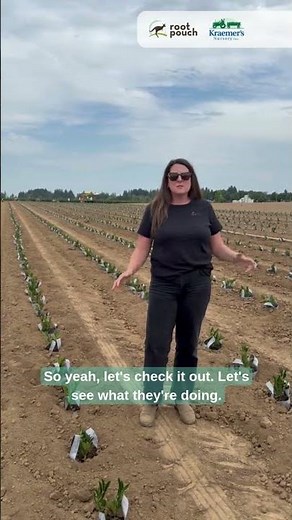 Kraemer's Nursery inground potting w/ Root Pouch Grow Bags