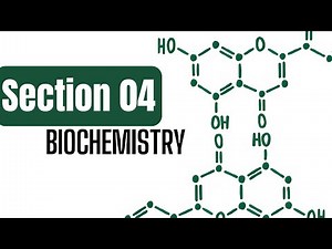 BioChemistry - Section 04 (Selivanoff'S Test)