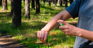 The 9 Best Insect Repellents for a Pleasant, Itch-Free Adventure