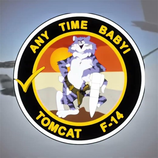 “Any time baby” #f14tomcat #avation #fyp