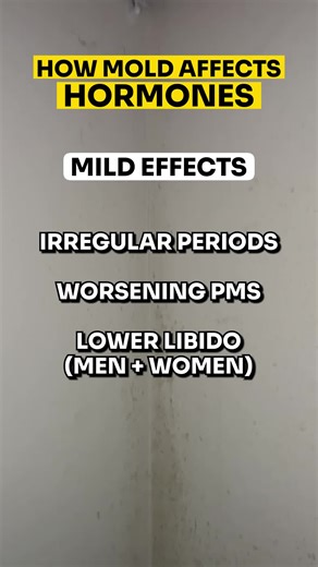 How can mold affect your reproductive system? ㅤ Even low-level mold exposure can disrupt your hormones. Here’s how it can show up: ㅤ Mild effects: – Irregular periods – Worsening PMS – Lower libido (in both men women) ㅤ Moderate effects: – Erectile dysfunction – Menstrual changes (timing flow) – PCOS-like symptoms ㅤ Severe effects: – Infertility – Decreased sperm count motility – Ovarian uterine dysfunction ㅤ Pregnancy risks: – Miscarriage – Low birth weight – Preterm birth – Birth defects ㅤ Lon