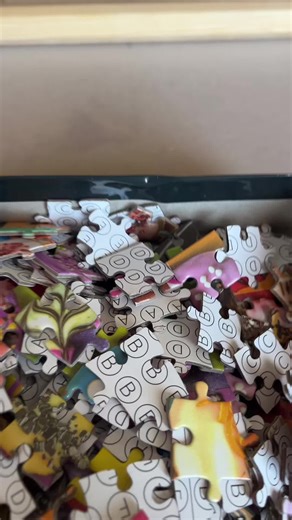 My Puzzle Journey: Sorting and Completing a 500-Piece Puzzle