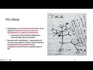 Darwin's Ideas