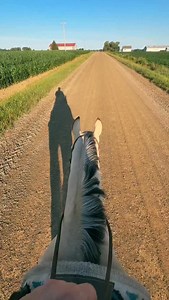 Trail ride singing 🩵 | Whirlwind Ranch/Invited In Red