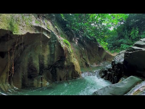 Relaxing Stream and River Ambience for Deep Sleep | Natural Sounds for Stress Relief and Healing