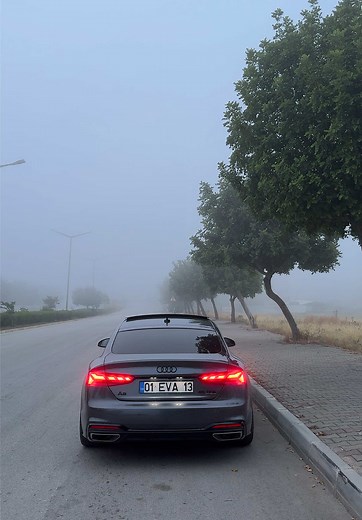 Audi A5 45 TFSI:性能与改装