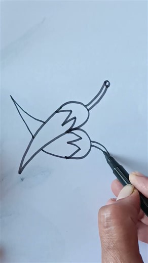 how to draw beautiful and easy red chilli