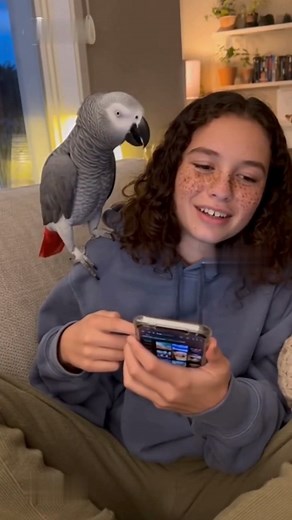 2.3K views · 21 reactions | Does anyone else’s parrot judge their Netflix habits harder than the algorithm does, or is mine just built for roasting? 列#ParrotAttitude #sassybird #africangreyparrot #virałreels #funnyvideos #viralreelschallenge #DailyLaughs #funny #foryoupage #fblifestyle | Funlexa | Facebook