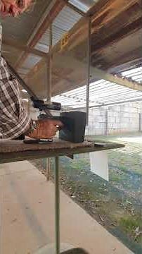 Shooting Walther GSP Expert