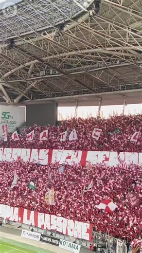 Ultras Fanatic Reds (🇩🇿 CR Belouizdad). | Ultras/Hooligans