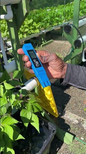 How to check EC with a Vivosun Meter in your hydroponic system