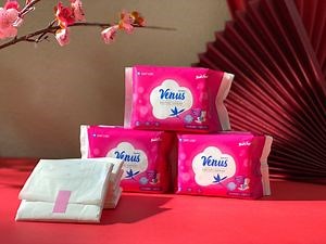 [Hot Item] Mesh Types of Sanitary Pads Thick Maxi Pads with Flexi-Wings for Periods