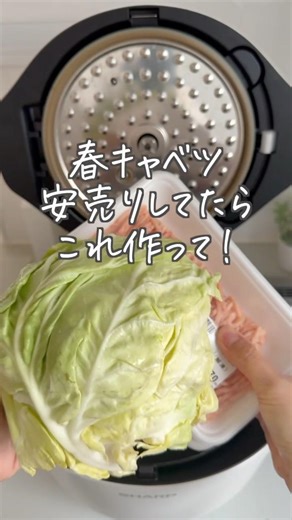【ホットクックで絶品❣️】春キャベツと鶏団子の旨塩煮