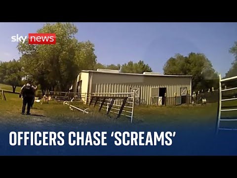 United States: Screams for 'help' turn out to be goat