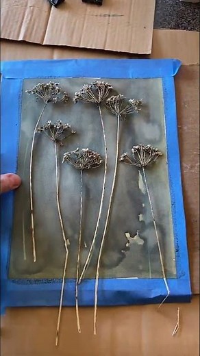 How To Make a Cyanotype