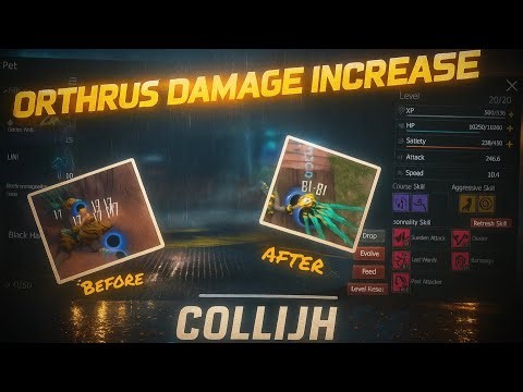HOW TO INCREASE ORTHRUS DAMAGE | LAST ISLAND RULES SURVIVAL