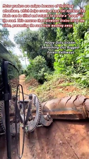 Heavy Duty Grader Smoothing Out Rugged Forest Pathways