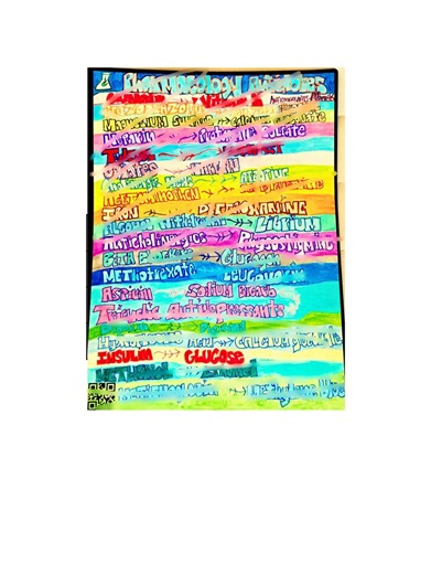 What is the Reversal?!?! A Cheat Sheet for the Most Common Medication Reversals! - Etsy