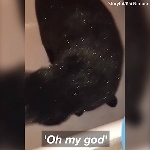 949K views · 243 reactions | This woman forgot to clean her bath after using a glitter bath bomb   | Daily Mail Video | Facebook