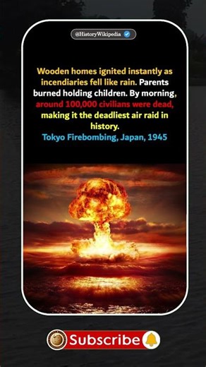 When the Sky Burned Tokyo 🔥 #WorldWarII