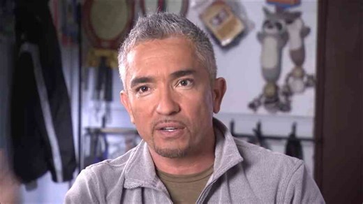 Trainer Helps 145-Pound Unsocialized Dog Adapt to Pack Life