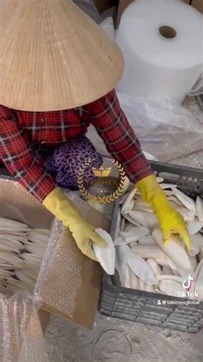 DRIED CUTTLEFISH BONE