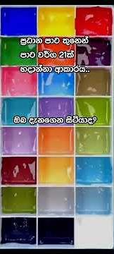 චිත්‍ර කලාව🎨🖌️ පාට මිශ්‍ර කිරීම Color mixing 🖌️ 🖌️ප්‍රධාන පාට වර්ග තුනකින් පාට විසිඑකක් හදන ආකාරය..