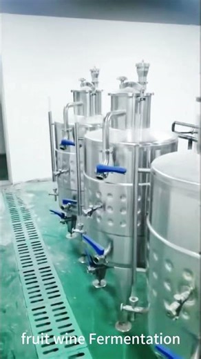 How to make pear Blackberry Mango Strawberry Peach wine by fruit wine fermentation machine? #shorts