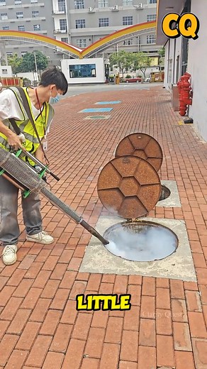 Think cockroaches are tough? Watch as this powerful smoke bomb infiltrates every crack and corner, eliminating roaches, ants, spiders, and more in seconds—hands-free and mess-free! See how one simple tool can reclaim your home from the tiniest invaders. Comment your weirdest cockroach encounter! #CockroachKiller #PestControl #SmokeBomb | Clarity Quest