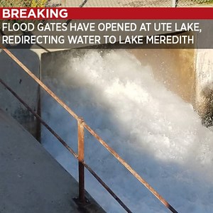 13K views · 323 reactions | DAM’S OPEN: We'll bring the latest from...