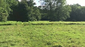 5.5K views · 87 reactions | Fort Necessity. George Washington's first defeat #AmericanHistory #history | KA-BAR | Facebook