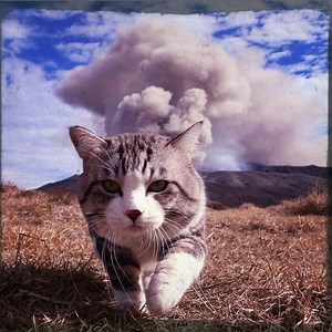 frosty_rose_ - Twitch