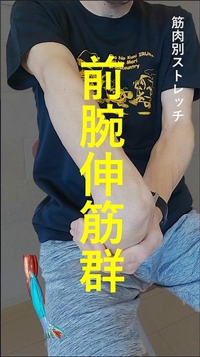 【腕】筋肉別ストレッチ！～前腕伸筋群～