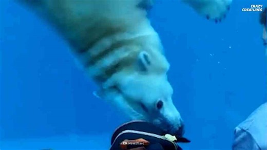 What happens when wild behavior breaks through barriers