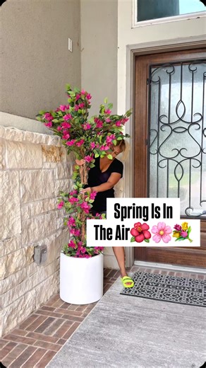 Tamara Bradshaw on Instagram: "Comment FLOWER TREE and I will dm you the link for my flower tree, topiary balls, planters etc. Or you can click link in my bio Spring is almost here! Adding color to my outdoor evtryway #springtime #outdoordesign #outdoordecoration #entrywaydecor #entrywayideas"