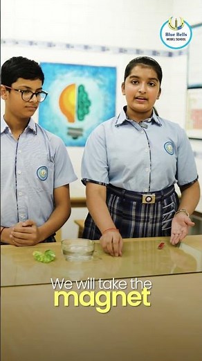 urn Curiosity Into Action: Make a Working Compass!