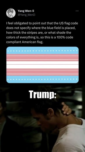 Technically Correct US Flag Be Like 💀🇺🇸