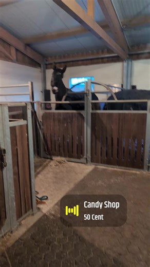 RDR2 Gangster Horse 😂#horse #candyshop #funny