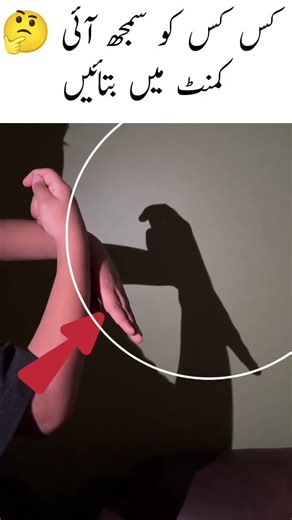 Hand Shadow Skills 🔥#handshadow #shadowart #shadowvideo #handshadowart #creativehands #shadowtricks