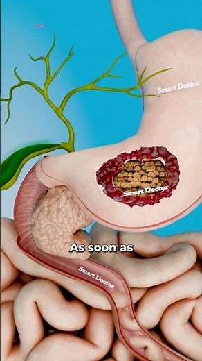 The Hidden Step of Fat Digestion 🟢👀