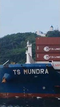 德翔蒙德拉TS MUNDRA臨時掛靠高雄進港修護作業 #ship #container #harbor #tsline