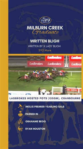 Milburn Creek on Instagram: "Fifth career win for our yearling graduate Written Bligh as the @grahamebeggracing trained daughter of @widdenstud’s Written By sits handy @sthsideracing before proving too strong in the run to the line under @houstonryan__ 🥂"