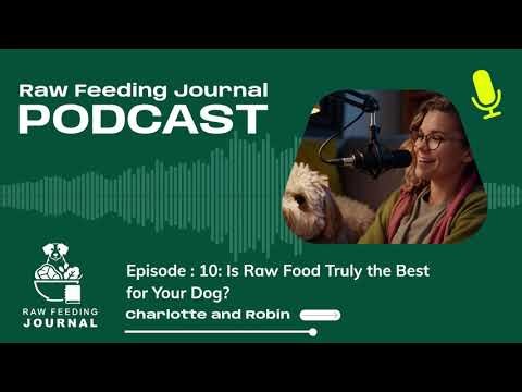 Is Raw Food Truly the Best for Your Dog?
