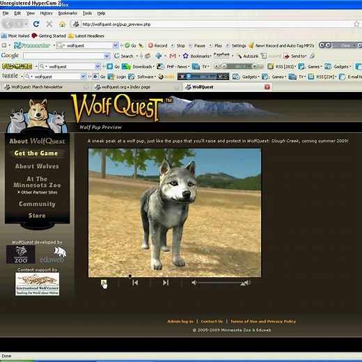 wolf quest pups preview