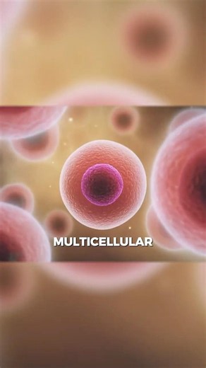 The Fine Line Between a Microbial Mat and Multicellular Life